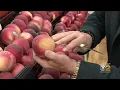 Tip Of The Day White Peaches