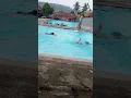 belajar berenang