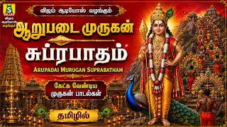 செவாய்க்கிழமை காலை மாலை கேளுங்கள்  முருகன் பாடல்களை காலை மாலை கேளுங்கள் MURUGAN SUPRABTHAM