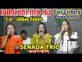 Download Lagu DONGANI MA AU //Cover By SENADA TRIO // Cipt : William Naibaho @Hanggan Erikson Channel