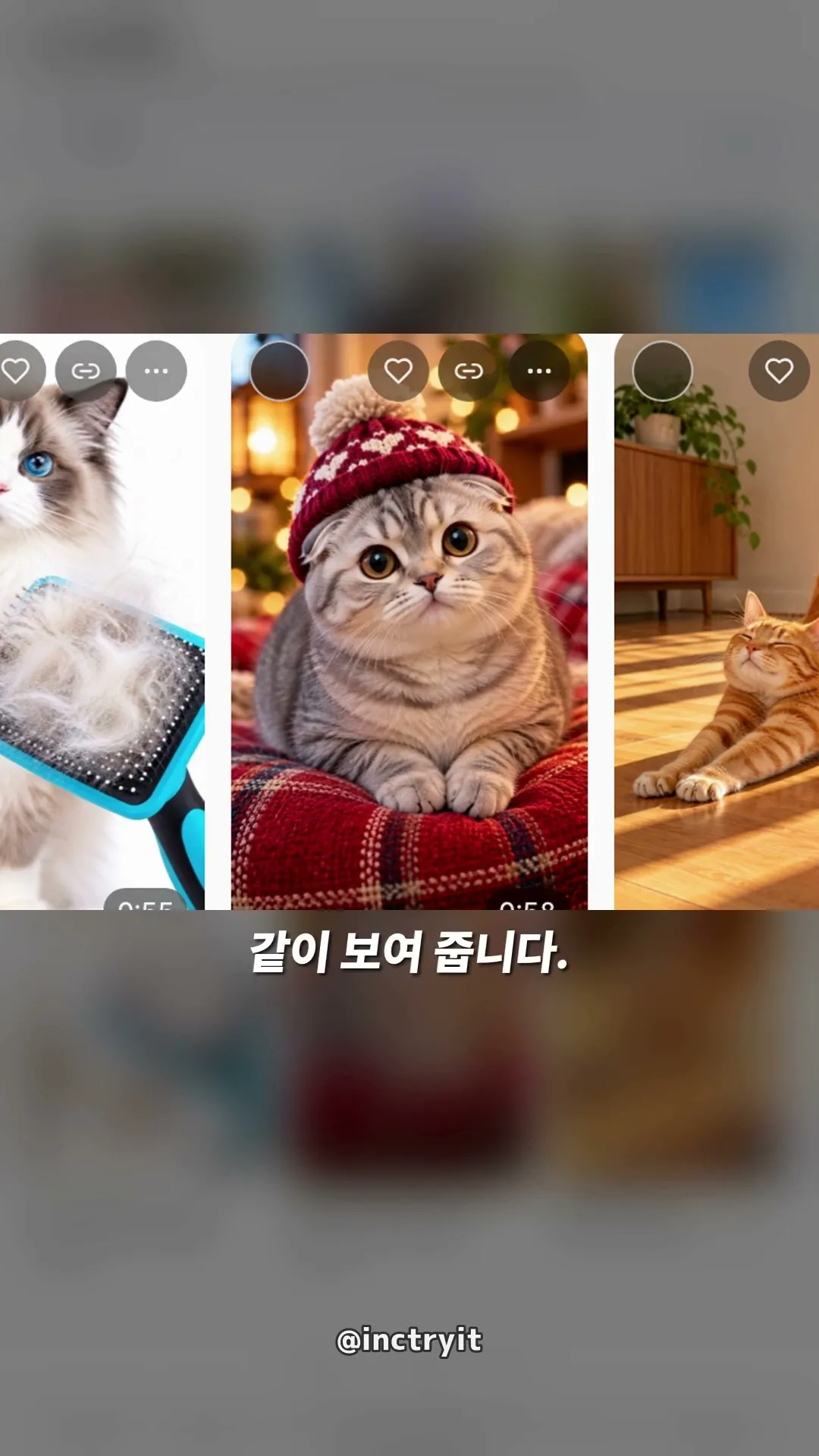 다음 영상 뭐 찍지? 1분 무료 진단 #shorts