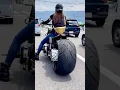Download Lagu HULKING HARLEY Biker Girl