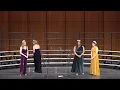Clever Girl - Jersey Harmony Explosion 2026
