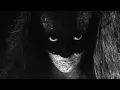 Download Lagu Chasing Daylight - Official Music Video