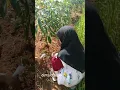 Download Lagu adek cinta tak selamanya indah dek #shorts  #viral