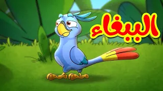 الببغاء طيور بيبي 