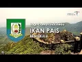 Download Lagu Ikan Pais - Lagu Daerah Bengkulu (dengan Lirik)