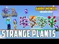 Terraria - Strange Plant Guide