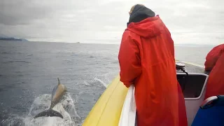 90 – Wet ‘n Wild in Tassie