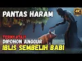 Lagu IBLIS MOTONG 4 HEWAN DIATAS POHON ANGGUR l PENYEBAB HARAMNYA KHAMAR
