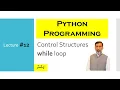 Lect while loop in Python in Pashto