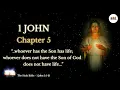 The Holy Bible 1 John 5 Faith in the Incarnate Son of God Bible NIV