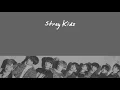 [中字] Stray Kids 어린 날개 Spread My Wings