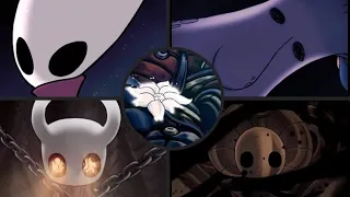 هولو نايت جميع النهايات الستيل سولز مع نهاية الوردة 