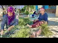 Download Lagu HALAMIN KÖY EVİNDE YENİ SÜPÜRGE HASADI | ODUN ATEŞİNDE SABAH KAHVALTISI VLOG