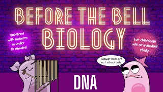DNA: Before the Bell Biology