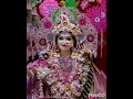 Download Lagu Saras Kishori by Shri Kripalu Ji Maharaj.