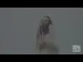 Charli XCX - Every Rule [Official Video]