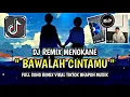 Download Lagu DJ KAU BUATKU MENANGIS PILU - DJ BAWALAH CINTAMU MENGKANE FULL SONG BHAPON MUSIK VIRAL TIKTOK🎶