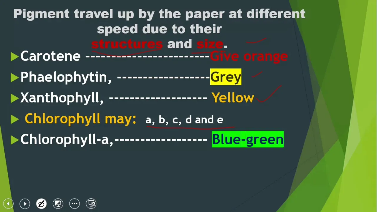 XI Botany Ch#11 Role of Chlorophyll and other Pigments by Dileep Kumar