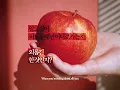 부모님의 전화를 무시하게 돼 | Charli xcx -  Apple featuring the japanese house (가사/번역/해석)