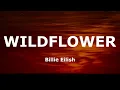 Download Lagu Billie Eilish - WILDFLOWER (Lyrics)