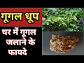 Download Lagu @गूगल धूप।  गूगल धूप कैसे तैयार करें।घर में गूगल जलाने के 5 अद्भुत फायदे