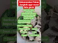 Download Lagu Rekomendasi Pakan jangkrik untuk muraibatu #setinganmuraibatu #kicaumania #bunyimurai #burung #murai