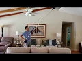 Cobweb Extension Duster