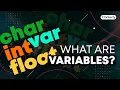 What Are Variables In Programming Coding For Kids - Tinkerly