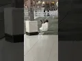 Download Lagu Rahman ya Rahman 🕋😭🤲#shorts #youtubeshorts #makkah #shorts #viralvideo #kabalive #shortsfeed
