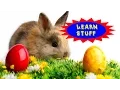 Learn Stuff Ep 2 - Why Does Easter Always Change Dates