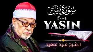 سورة يس الشيخ سيد سعيد تلاوة خاشعة قرآن كريم للشفاء والبركة وللاستماع والتدبر 
