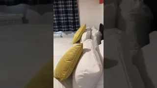                     دندنها