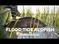 Flood Tide Redfish in Charleston SC Lost Wandering Vol 2