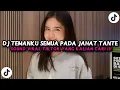 Lagu DJ TEMANKU SEMUA PADA JAHAT TANTE VIRAL TIKTOK YANG KALIAN CARI 