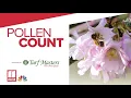 March 21 daily pollen count forecast