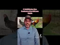 McLean Hatch s skills