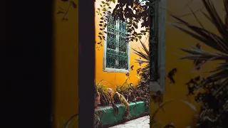 ماجبوكي عرب يامريم عمر سالم Magaboki Arab عمر سالم 