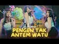 Download Lagu Lili Amora - TAK ANTEM WATU || Pengen Tak Antem Watu Ra*** Iku ( Official Music Video )