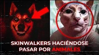 SKINWALKERS Y ANIMALES PERTURBADORES CAPTADOS EN CÁMARA