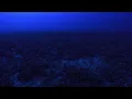 DIAS - DEEP (2023)