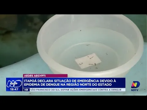Itapoá declara situação de emergência devido à epidemia de dengue na região Norte do Estado