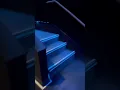 MAGIC JOHNSON MOVIE THEATER HARLEM - 12 30 2024