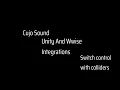 Wwise and Unity Switches controlling footsteps by Cujo Sound