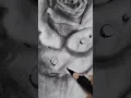 Realistic rose drawing #art #shorts #shortsfeed #drawing