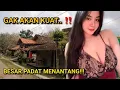 Download Lagu AWAS KUMPUL KEBO ❗❗ SUASANA RUMAH TERPENCIL DITENGAH HUTAN PEDALAMAN BOYOLALI