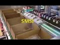 Robotic Sorting and Feeding Delta Robot sorting packing and boxing