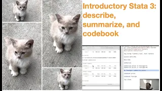 Introductory Stata 3 Summary Statistics using describe summarize and codebook