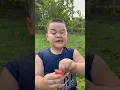 Download Lagu WOW! Ý tưởng THÔNG MINH và RẤT HỮU ÍCH #camping #survival #bushcraft#outdoors#lifehack